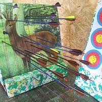 Стрела Варяга 2013
